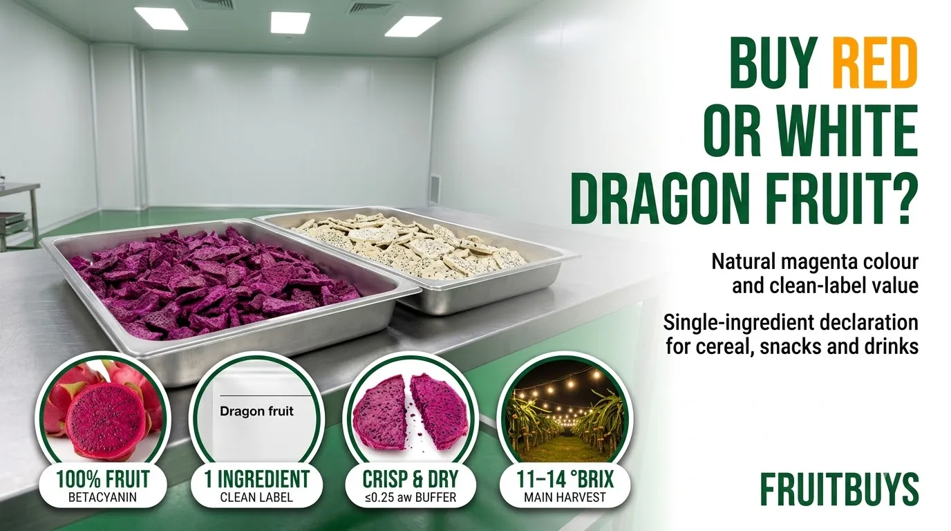 B2B hero banner comparing red versus white freeze-dried dragon fruit, featuring side-by-side stainless steel trays in a QC room demonstrating the vivid natural magenta colour advantage of red flesh.
